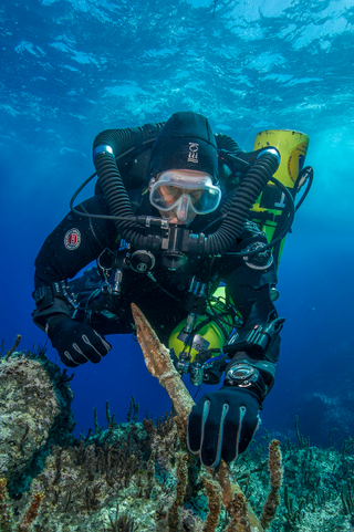 Illustration for article titled Archaeologists Make Stunning Discoveries at the Antikythera Shipwreck